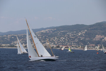 Wall Mural - Cannes Classic Sailing Event