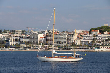 Wall Mural - Cannes Classic Sailing Event