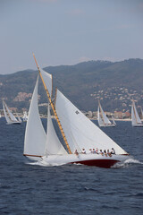 Wall Mural - Cannes Classic Sailing Event