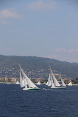 Wall Mural - Cannes Classic Sailing Event