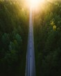 Aerial view of a highway road through the green forest at dreamy sunlight, in a vertical shot