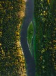 Vertical shot of a river with a tiny island in the middle of a forest