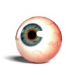 Side view of realistic human eyeball isolated on wihte background, 3D rendering