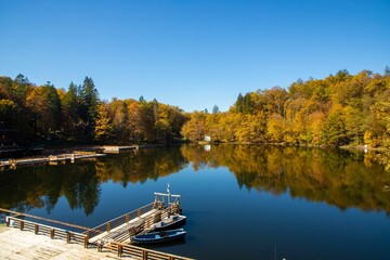 Poster - Lake Ursu from Sovata resort - Romania in autumn