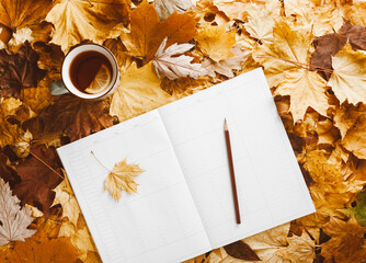 Wall Mural - Autumn flat lay - autumn leaves, cup of tea with lemon, blank weekly planner, pencil