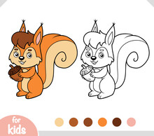 Coloring Book For Kids, Cute Squirrel And Acorn