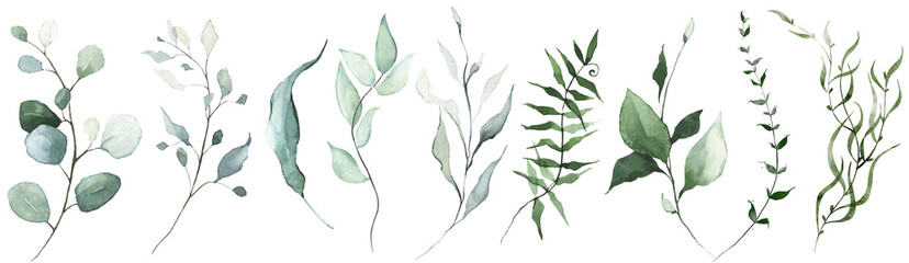 Wall Mural - Watercolor floral set of green leaves, greenery, branches, twigs etc.  Cut out hand drawn PNG illustration on transparent background. Watercolour clipart drawing.