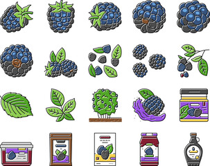 Sticker - blackberry fruit berry black food icons set vector