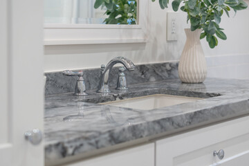 Wall Mural - Modern bathroom sink details of shiny chrome faucet with gray stone counter, white cabinets, plant decor and accent mirror.