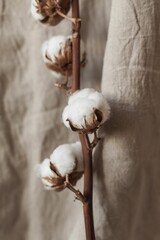 Poster - Vertical shot of a dry cotton branch with jute linen background