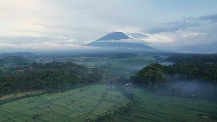 Wall Mural - Foggy morning over the fields in Bali