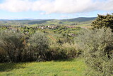 Fototapeta Sawanna - Landscape around San Gimignano in spring, Tuscany Italy