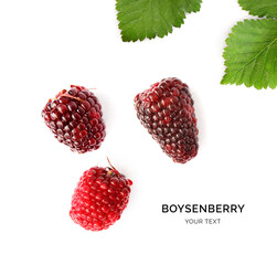 Wall Mural - Creative layout made of boysenberry. Flat lay. Food concept. Boysenberry on white background.