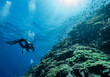 © Cavan Images - Diver exploring the coral reefs at Komodo / Indonesia