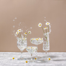 Summer Daisy Flower In Cocktail Glass. Happy Birthday Card