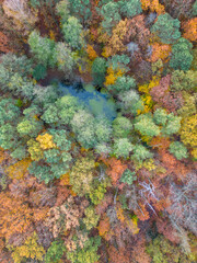 Poster - Pond in the park in autumn colors - Pabianice - Poland