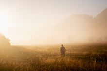 Man Standing In A Misty Field Looking To The Future. Autumn Morning And Sunshine On A Misty Field.