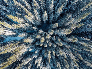 Aerial shot of beautiful snow covered landscape and trees, Christmas holiday time