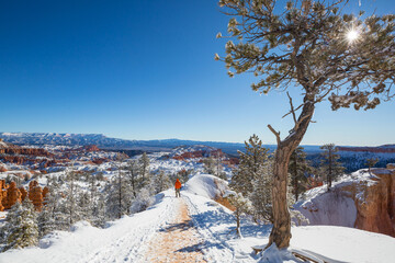 Wall Mural - Winter Bryce