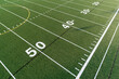 © Tracy King - wide angle view of the 50 yard line