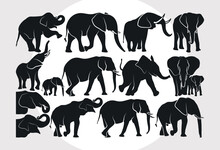 Elephant SVG Bundle, Animal Svg, Mom And Baby Elephant Svg, Elephant Head Svg, Safari Animal Svg, Wildlife Svg