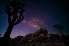 Starry Sky And Milky Way Galaxy At Night  In Joshua Tree National Park  Mojave, California, USA