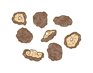 Wall Mural - Dried Shiitake Mushroom from different angles in flat illustration art design