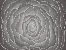 Black White Rose Hole, Abstract Hole Tunnel Drawing Vector Illustration.