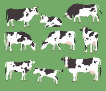 Collection Of Vector Illustration Of Grazing Cows And Bulls With Calves On Green Grass