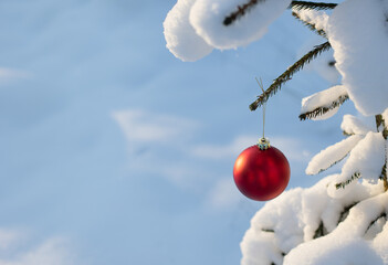 The red decoration of the Christmas ball is hanging on a branch of a fir tree on the street, in a park in white snow.