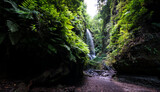 Fototapeta Las - Waterfalls at the end of the narrow canyon in La Palma Island