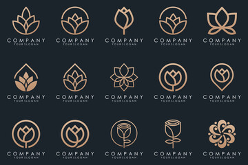 Wall Mural - Abstract elegant flower rose logo icon set.