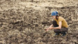© junky_jess - Woman agronomist with a digital tablet sitting on a plowed field with a soil sample in hand, selective focus.