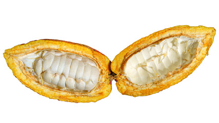 cut ripe cocoa fruit in white background