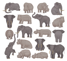 Wall Mural - set of gray african elephants in different poses vector illustration