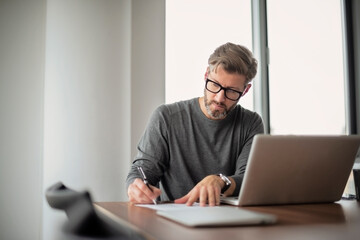 Middle aged businessman using laptop at the office