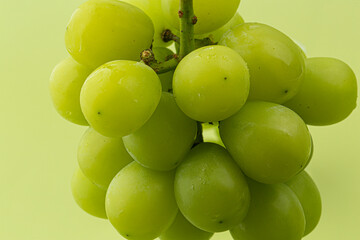 a bunch of shine muscat green grape on green background