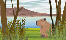 A Capybara Sits On The Shore Of A Lake. Tropical Trees And Mountains On Horizon. Rodents Of South America. Realistic Vector Landscape