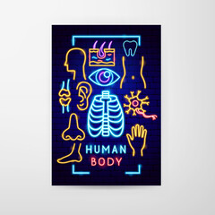 Sticker - Human Body Neon Flyer. Vector Illustration of Medical Health Objects.