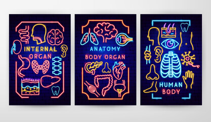 Sticker - Anatomy Flyer Concepts. Vector Illustration of Medical Human Health Objects.