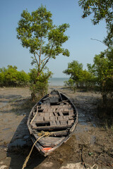 Two fishing boat anchored just beside mangrove forest on the bank of river Matla .