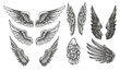 Hand drawn wings, sketch bird or angel wing with feathers. A large set isolated on a white background. Vector illustration