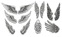 Hand Drawn Wings, Sketch Bird Or Angel Wing With Feathers. A Large Set Isolated On A White Background. Vector Illustration