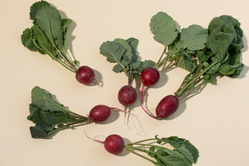 Fresh red radish isolated on beige background