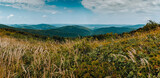 Fototapeta Storczyk - Panorama in Bieszczady Mountains in Poland