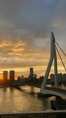 Sticker - Vertical shot of the Erasmus bridge across the Nieuwe Maas river during the sunset in  Netherlands