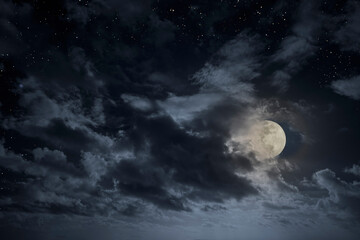 Canvas Print - Cloudy full moon night