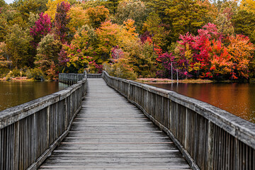 Wall Mural - wooden bridge in autumn park