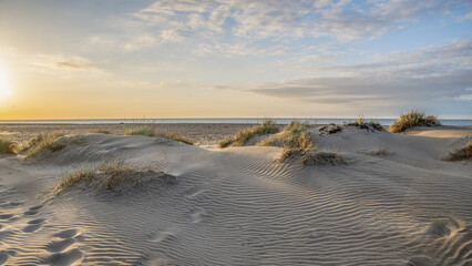 Wall Mural - Coucher  de soleil sur les dunes et les plages de sable en bord de mer en Camargue dans le Sud de la France