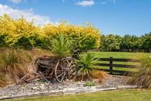 Garden With Disused Antique Farm Machinery In The Kapiti Region Of New Zealand